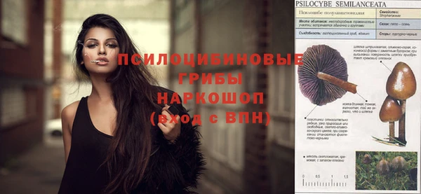 тгк Алзамай