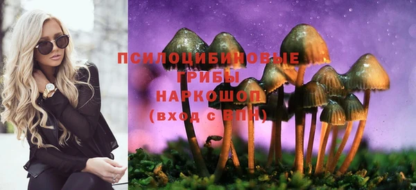 шишки Алексеевка