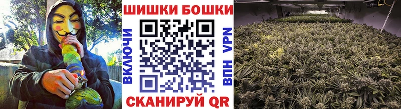купить  сайты  Кувшиново  Канабис конопля 